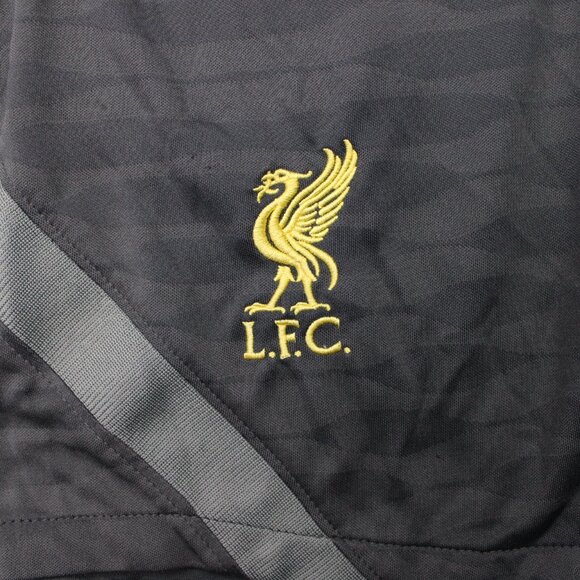Nike Liverpool FC Shorts Mens Large Black Dri-Fit L.F.C Training Drawstring - Picture 5 of 13